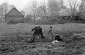 Fotonegatyvas. Mitragalio monetų lobio radimo vieta