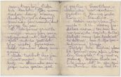 Vytauto Putvinskio-Pūtvio su žmona laiškas Emilijai Putvinskienei