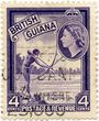 Britų Gvianos pašto ženklas „Amerindian shooting fish“