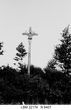 Fotonegatyvas „Medinis kryžius“