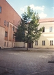 S. Daukanto ąžuolėlis Vilniaus universiteto kiemelyje A. Jucevičiaus nuotraukoje
