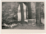 J. Biliūno buvusi kapavietė Zakopanės kapinėse