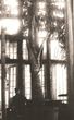 Kunigaikščių Oginskių Rietavo dvaro sodininkas Bronius Saponka rūmų oranžerijoje prie palmės - aitriosios kariotos, apie 1930 m.