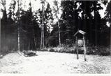 Žydų žudynių Antrojo pasaulinio karo pradžioje vieta Gryblaukio k., Batakių apyl., Tauragės r., 1991 m.