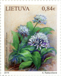 Pašto ženklas. MEŠKINIS ČESNAKAS (Allium ursinum)