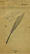 Reketės kapinyno (Kretingos raj.) 1942 m. archeologinių kasinėjimų dienoraštis