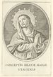 Nekaltai Pradėtoji Švč. Mergelė Marija