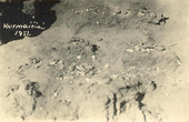 Kurmaičių pilkapių kasinėjimai 1951 m. Degintiniai kapai
