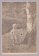 Vytauto Račkausko fotografijos laikraščio iškarpa. Vaikas stovi prie kamieno