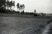 Negatyvas. Kunigiškių pilkapyno prie Grigiškių bendras vaizdas. 1956.XI.