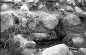 Negatyvas. Archeologiniai kasinėjimai Trakų salos pilyje. 1958.II.5.