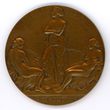 Medalis, skirtas Namuro apsupties 1914 m. rugpjūčio 4–25 d. aukoms pagerbti