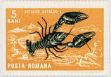 Pašto ženklas. Plačiažnyplis vėžys (Astacus astacus). Rumunija.