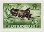 Pašto ženklas. Dirvinis svirplys (Gryllus campestris). Vengrija