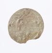 Moneta. LDK. Zigmantas III Vaza. 2 denarai. 1620 m. Vilniaus kalykla