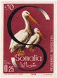 Pašto ženklas. Rausvanugaris pelikanas (Pelecanus rufescens). Somalis.