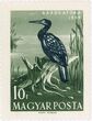 Pašto ženklas. Didysis kormoranas (Phalacrocorax carbo). Vengrija.