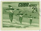 Pašto ženklas. Didysis dančiasnapis (Mergus merganser). Kuba.