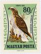 Pašto ženklas. Nykštukinis erelis (Hieraaetus pennatus). Vengrija.