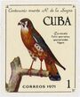 Pašto ženklas. Amerikinis pelėsakalis (Falco sparverius). Kuba.