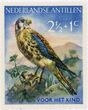 Pašto ženklas. Amerikinis pelėsakalis (Falco sparverius). Nyderlandų Antilai.