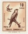 Pašto ženklas. Paprastasis pelėsakalis (Falco tinnunculus). Turkija.