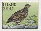 Pašto ženklas. Tundrinė žvyrė (Lagopus muta). Islandija.