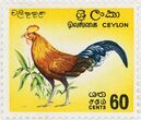 Pašto ženklas. Šrilankinė džiunglinė višta (Gallus lafayettii). Šri Lanka.