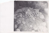 Fotonuotrauka. Archeologiniai tyrinėjimai Trakų pusiasalio pilyje. Kasinėjimų metu atidengti sienos mūro fragmentai. 1967–1968 m.