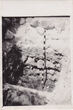 Fotonuotrauka. Archeologiniai tyrinėjimai Trakų pusiasalio pilyje. Atidengtos gynybinės sienos aplink Aukų kalną pamatų fragmentas. 1967–1968 m.