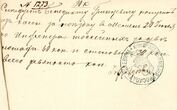 Kretingos dvaro kasos išlaidų raštelis Nr. 1273 dėl dienpinigių išmokėjimo Benediktui Grincevičiui